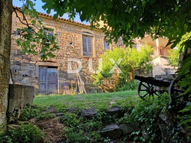 ISTRIA, LIVADE (surroundings) - Stone antiquities with a panoramic view