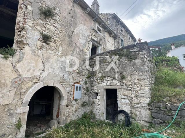 ISTRA, LABIN (OKOLICA) - Dvije kamene kuće s pogledom na prirodu