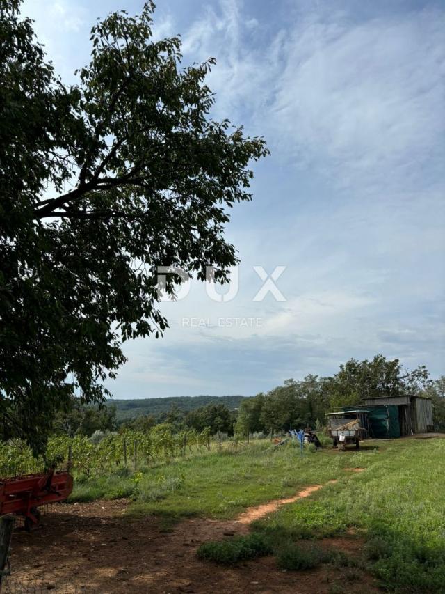 ISTRA, BARBAN - Prostrano građevinsko zemljište s otvorenim pogledom!