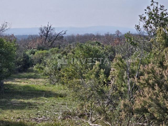 Fažana okolica, 38. 650 m2 zemljišta turističke namjene