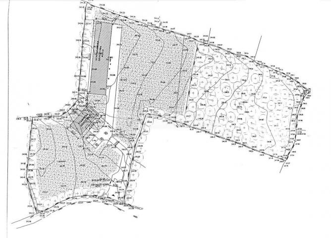 Juršići, Grundstück von 20.000 m2 mit Projekt, Baubeginn