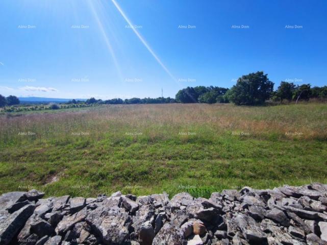 Agricultural land