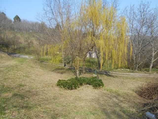 PLAC NA POPOVICI