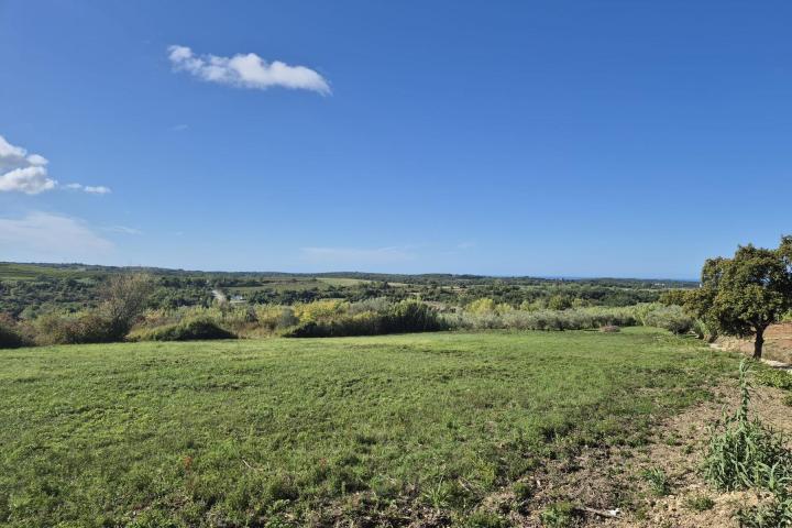 Istra, Buje - građevinsko zemljište 1036 m2 na odličnoj lokaciji