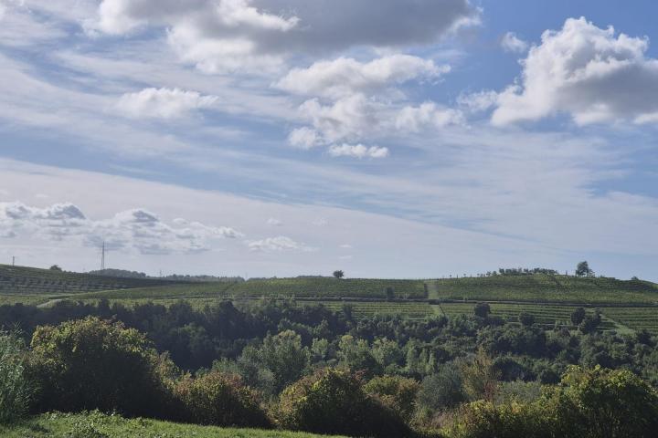 Istra, Buje - građevinsko zemljište 1036 m2 na odličnoj lokaciji