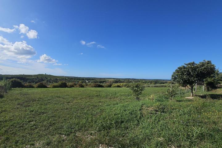 Istra, Buje - građevinsko zemljište 1036 m2 na odličnoj lokaciji