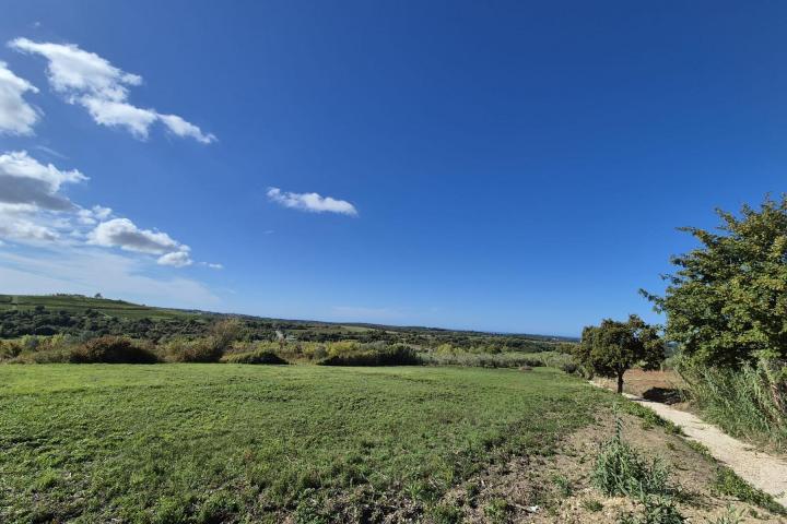 Istra, Buje - građevinsko zemljište 1036 m2 na odličnoj lokaciji