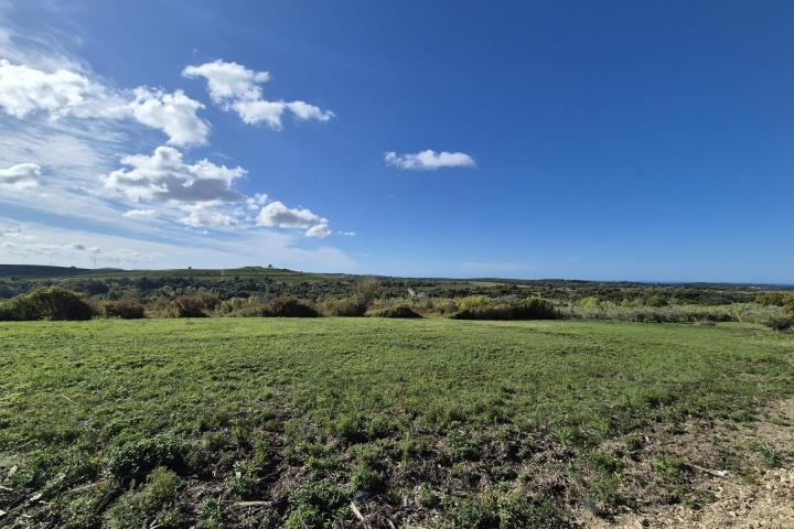 Istra, Buje - građevinsko zemljište 1036 m2 na odličnoj lokaciji