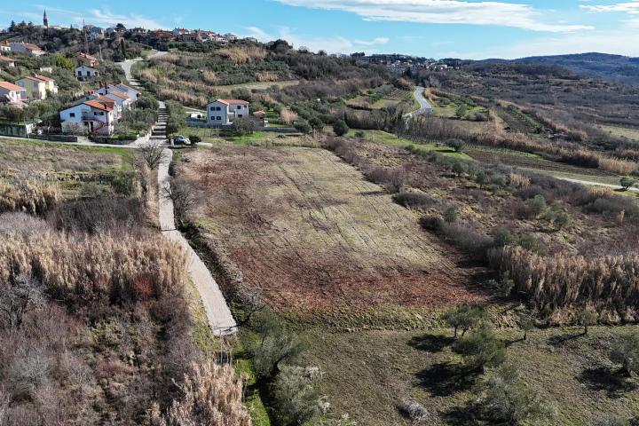 Istra, Buje - građevinsko zemljište 1036 m2 na odličnoj lokaciji