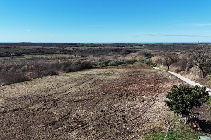 Istra, Buje - građevinsko zemljište 1036 m2 na odličnoj lokaciji