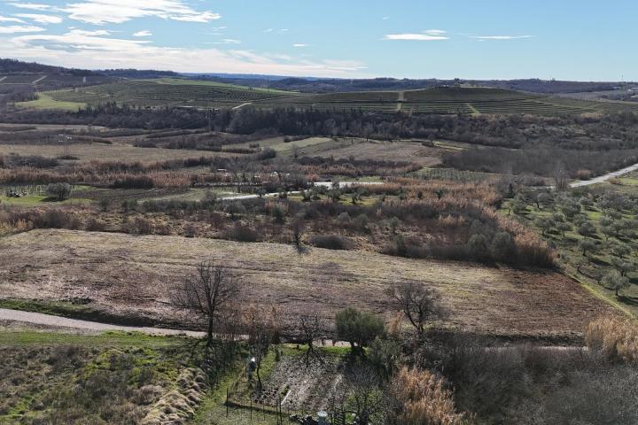 Istra, Buje - građevinsko zemljište 1036 m2 na odličnoj lokaciji