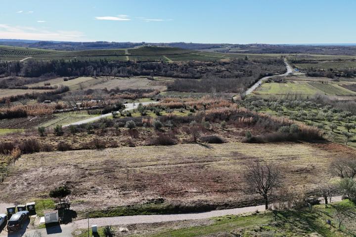 Istra, Buje - građevinsko zemljište 1032 m2 na odličnoj lokaciji