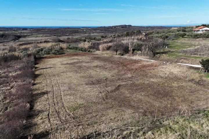 Istra, Buje - građevinsko zemljište 1032 m2 na odličnoj lokaciji