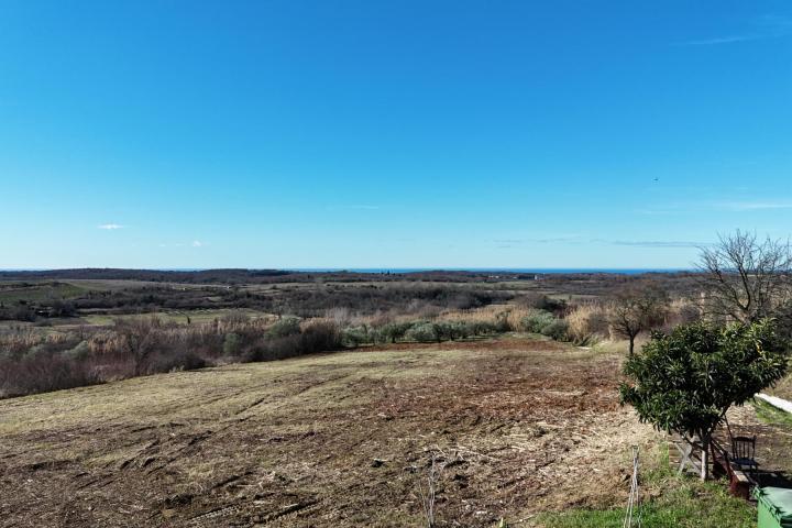 Istra, Buje - građevinsko zemljište B, 1036 m2 na odličnoj lokaciji