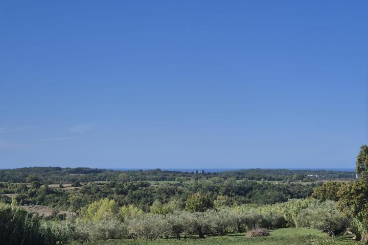 Istra, Buje - građevinsko zemljište B, 1036 m2 na odličnoj lokaciji