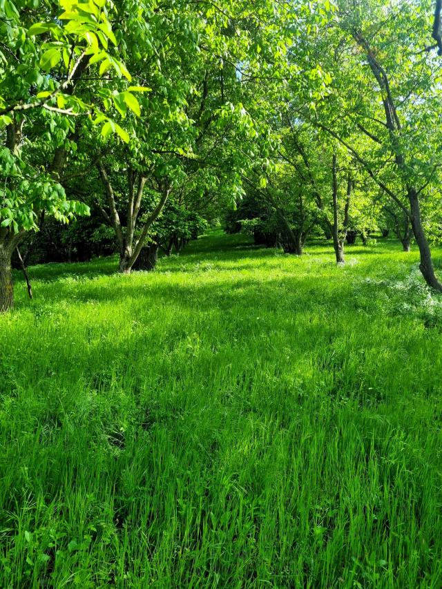 Kuća za odmor - Podolje