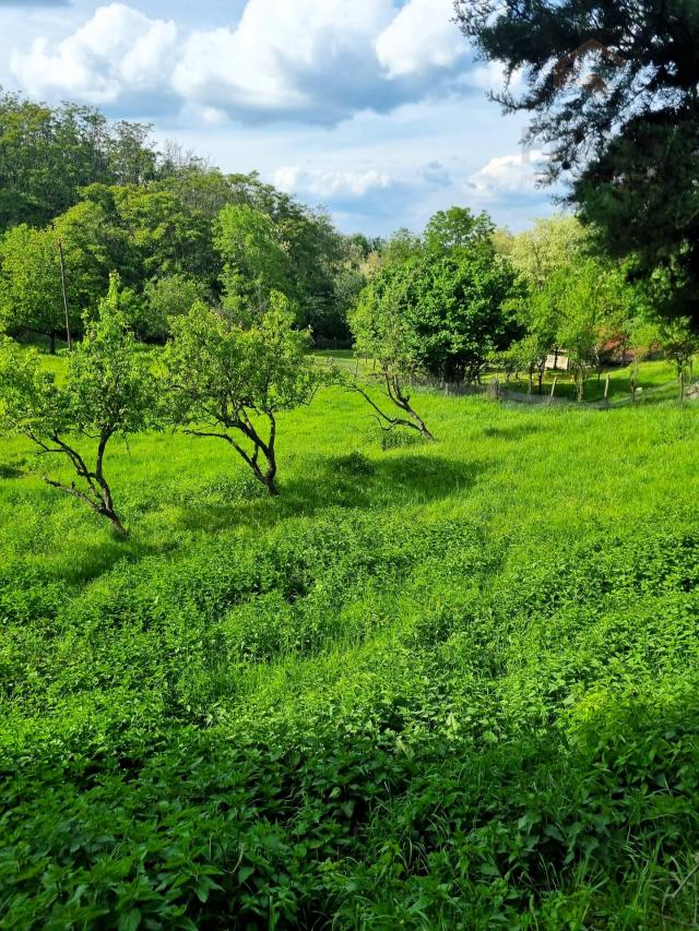 Kuća za odmor - Podolje