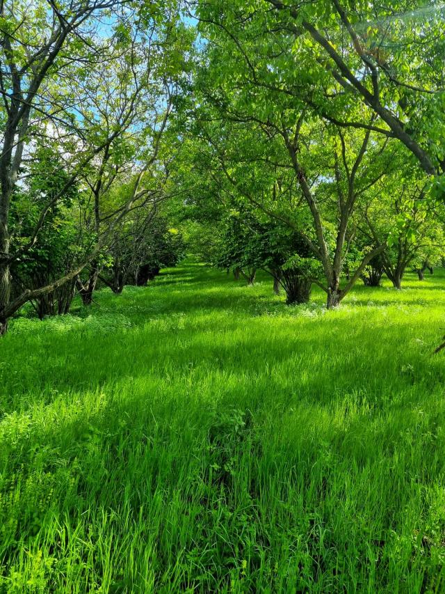 Kuća za odmor - Podolje