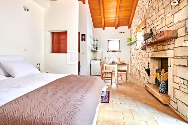 ISTRIA, BUJE - Rustic villa with a spacious garden