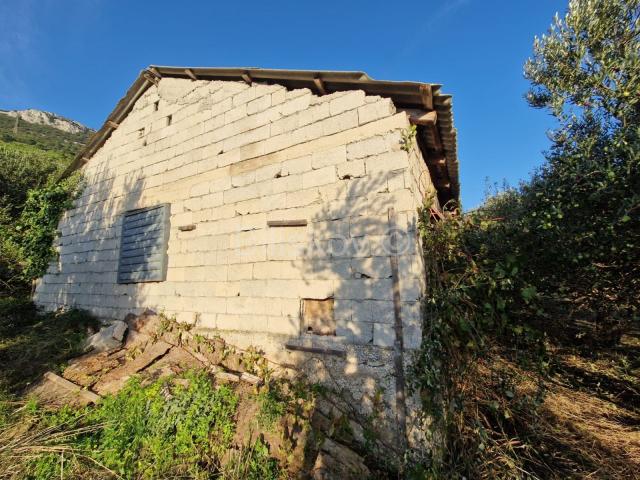 Prodaja, poljoprivredno zemljište, Kaštel Stari