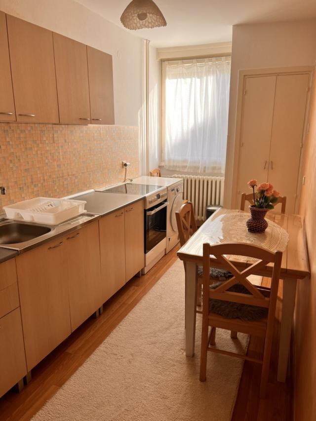 NOVI SAD - DETELINARA - 47. 00 m2