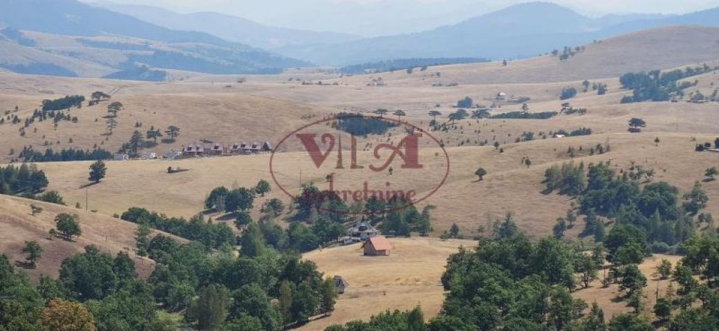 Zlatibor, Čajetina, Gajevi, 50. 30 ari -Odlična lokacija od 10 građevinskih parcela za investitore