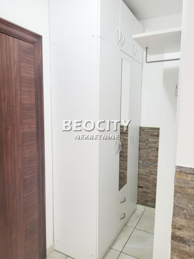 Novi Sad, Bulevar Evrope, Veselina Masleše, 2. 0, 50m2, 600EUR