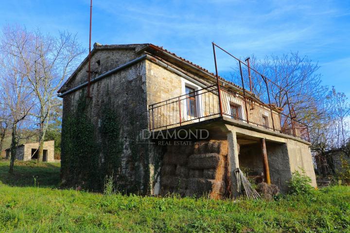 Pican, surroundings. houses on a spacious estate