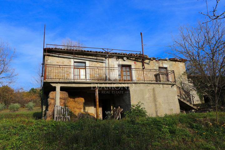 Pican, surroundings. houses on a spacious estate