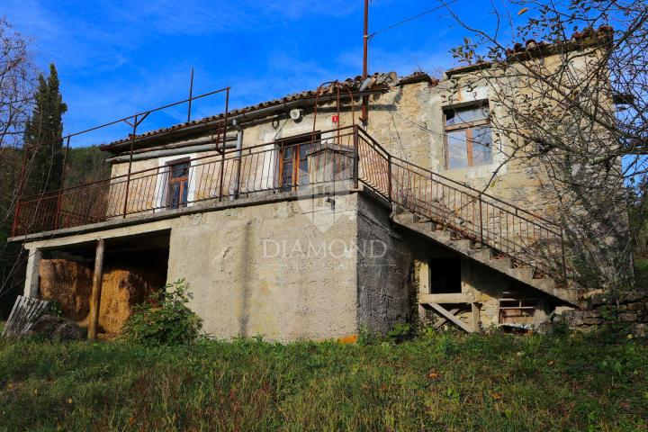 Pican, surroundings. houses on a spacious estate