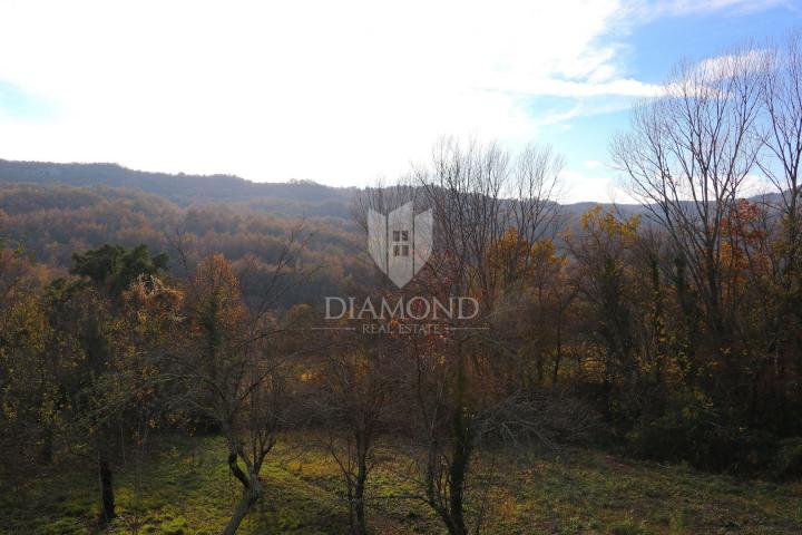 Pican, surroundings. houses on a spacious estate