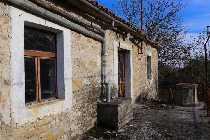 Pican, surroundings. houses on a spacious estate