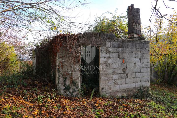 Pican, surroundings. houses on a spacious estate