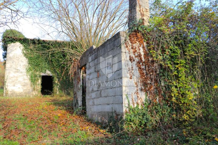 Pican, surroundings. houses on a spacious estate