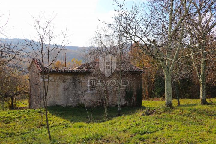 Pican, surroundings. houses on a spacious estate