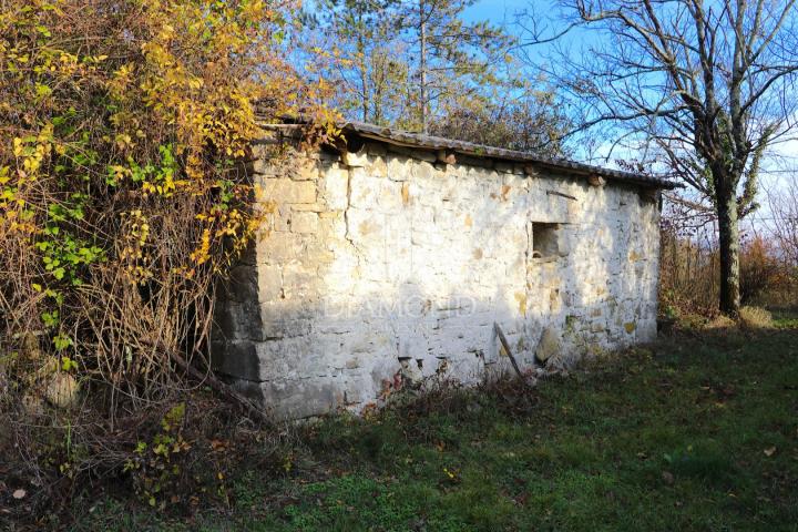 Pican, surroundings. houses on a spacious estate