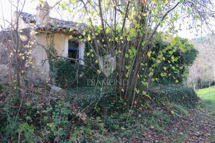 Pican, surroundings. houses on a spacious estate