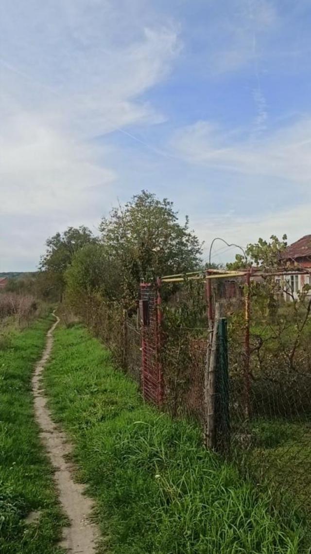 Šest parcela za izgradnju kuća u Panjevačkom Ritu , građevinsko zemljište na gradskoj lokaciji