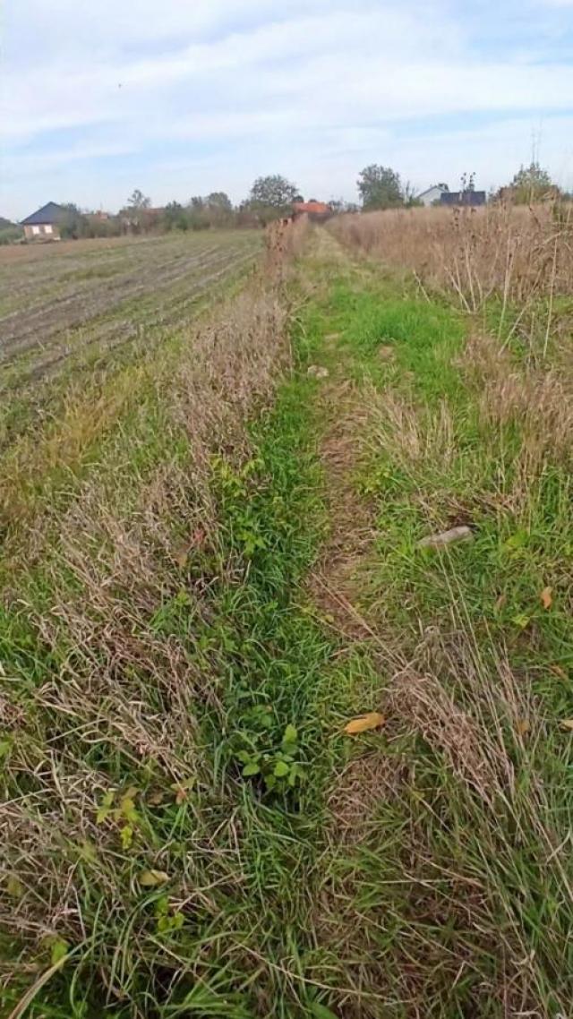 Parcele za izgradnju kuća u Panjevačkom Ritu gradska lokacija Jagodina