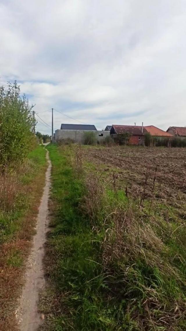 Parcele za izgradnju kuća u Panjevačkom Ritu gradska lokacija Jagodina