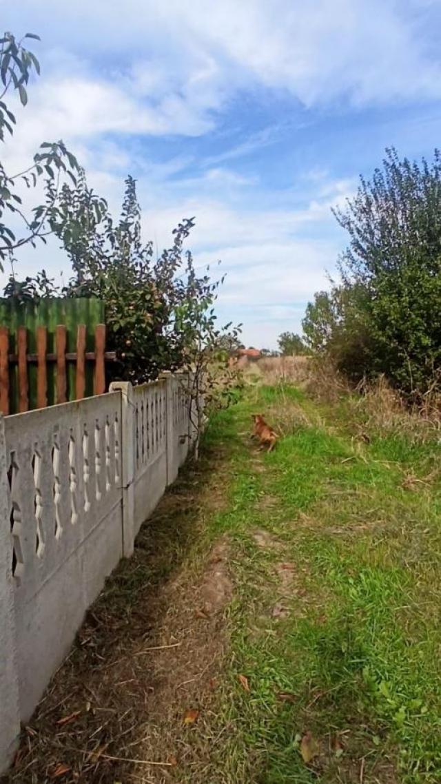 Parcele za izgradnju kuća u Panjevačkom Ritu gradska lokacija Jagodina