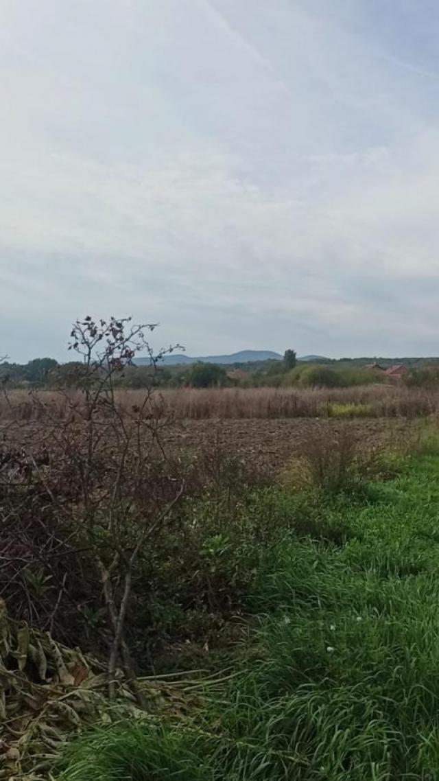 Parcele za izgradnju kuća u Panjevačkom Ritu gradska lokacija Jagodina