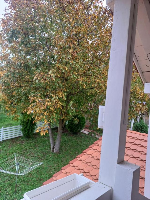 Vrdnik, Centar, 120m2. 12ari, prelepa kuca, uknjizena