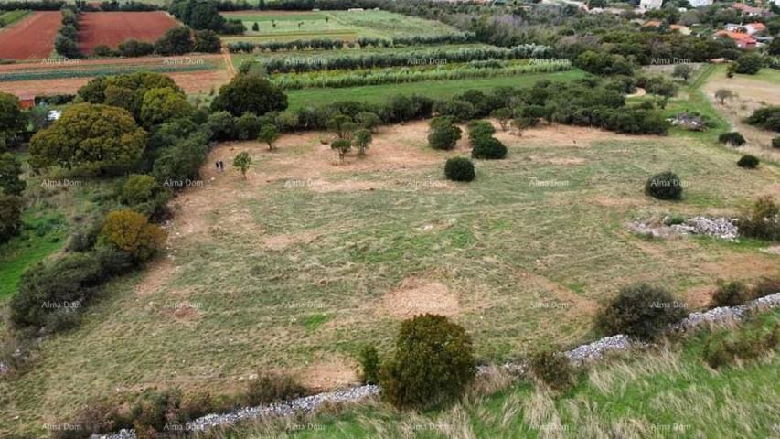 Agricultural land