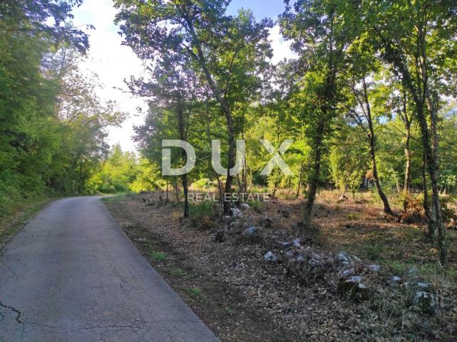 ISTRIA, MOTOVUN - Spacious plot with building permit