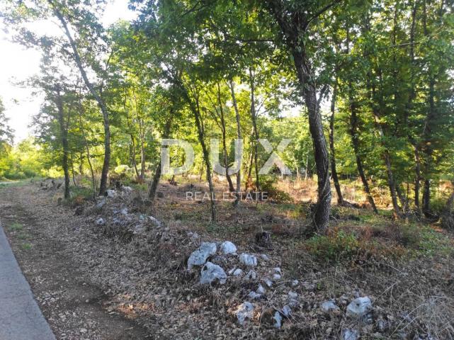 ISTRIA, MOTOVUN - Spacious plot with building permit