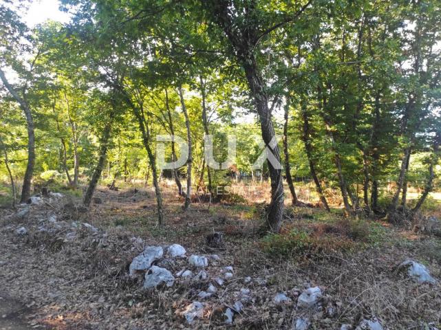 ISTRIA, MOTOVUN - Spacious plot with building permit