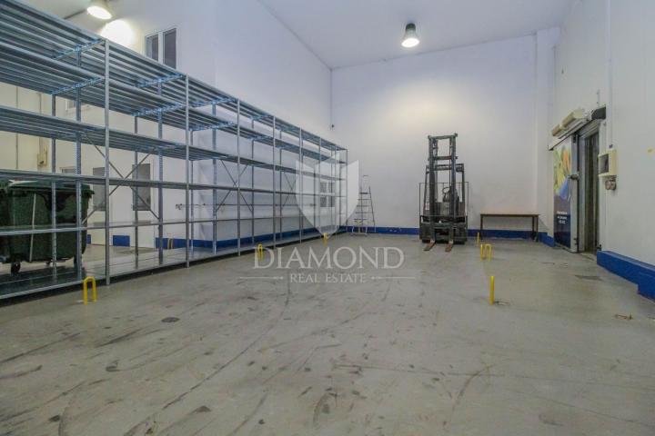 Poslovni prostor Novigrad, 410m2