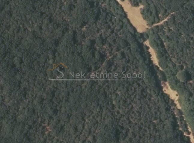 Punta Kriza, Island Cres - Agricultural (forest), 8120 m2