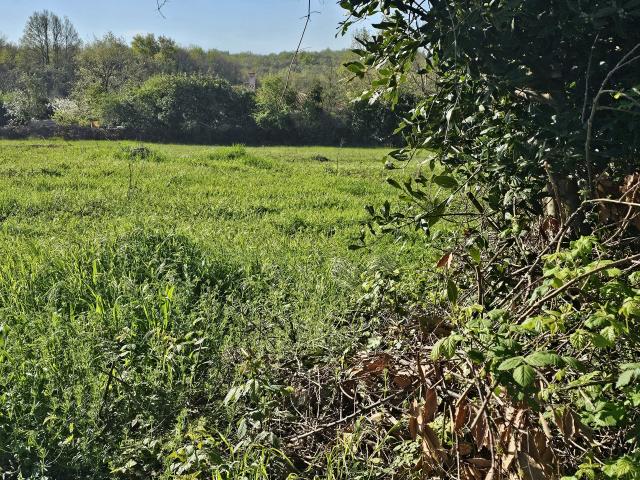 VERKAUFT Wohnbaugrundstück mit Meerblick in Brtonigla